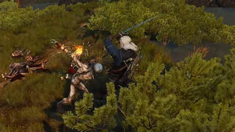 witcher 3 fist fight|how to parry witcher 3.